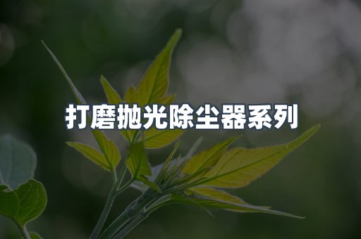 打磨抛光除尘器