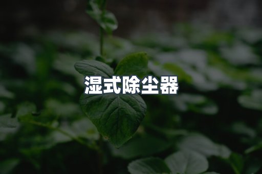 湿式除尘器